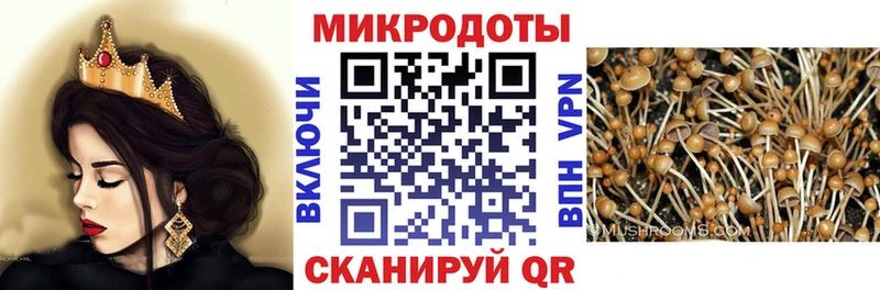 Псилоцибиновые грибы GOLDEN TEACHER  магазин  наркотиков  Волжск 