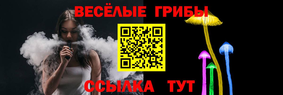 Псилоцибиновые грибы Psilocybe Волжск